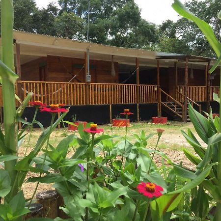 Hostal Cano Nevera La Macarena Eksteriør billede